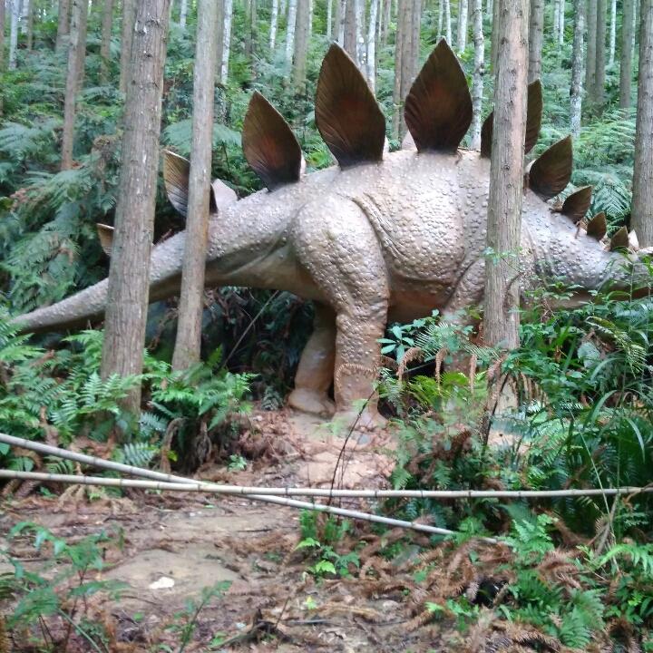 缺钙