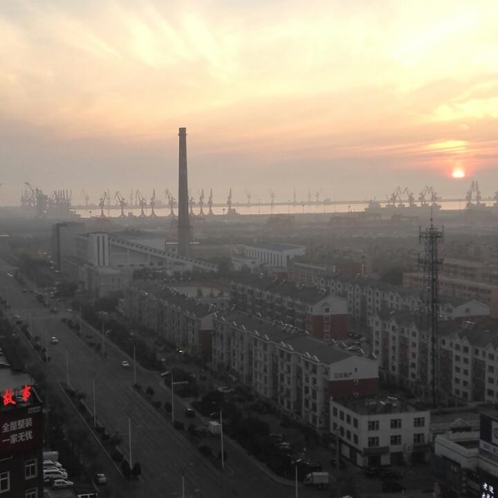 草根