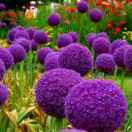 A晨光文貝，三木办公