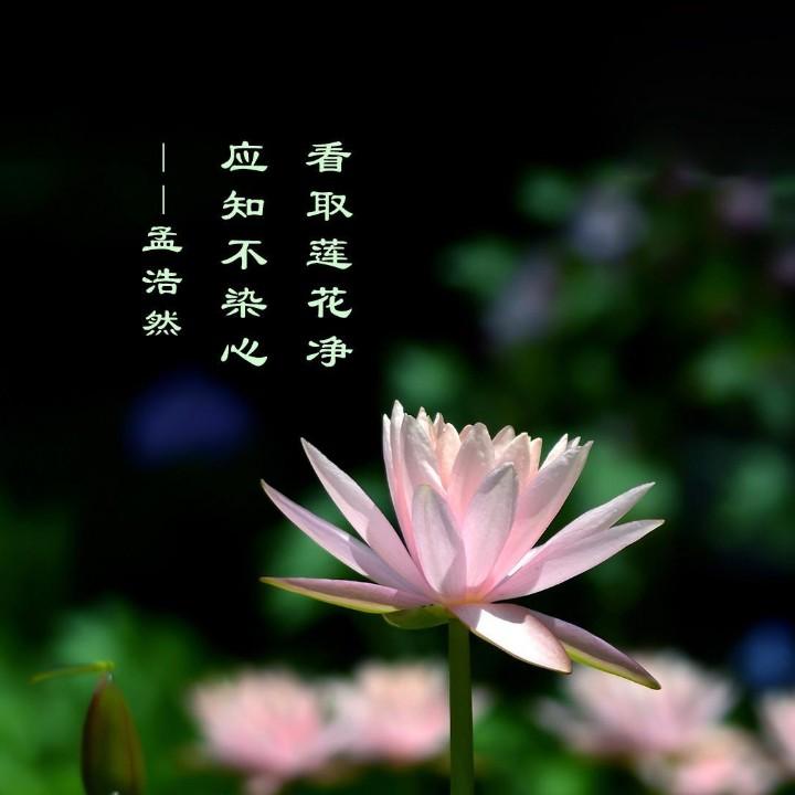 54号小院