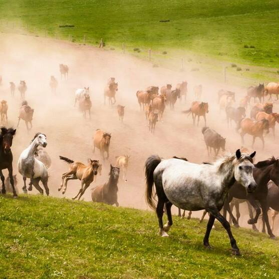 一看见我媳妇就知道我有钱