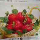 快乐主妇_253410795