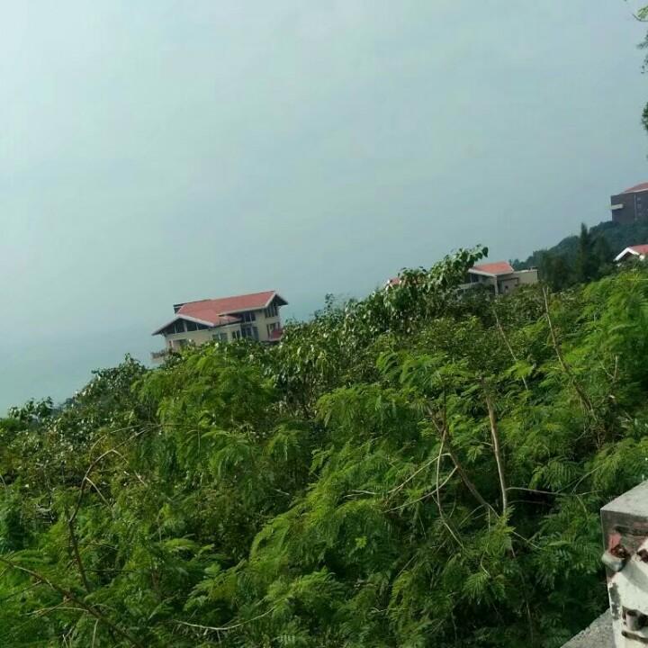 小薇