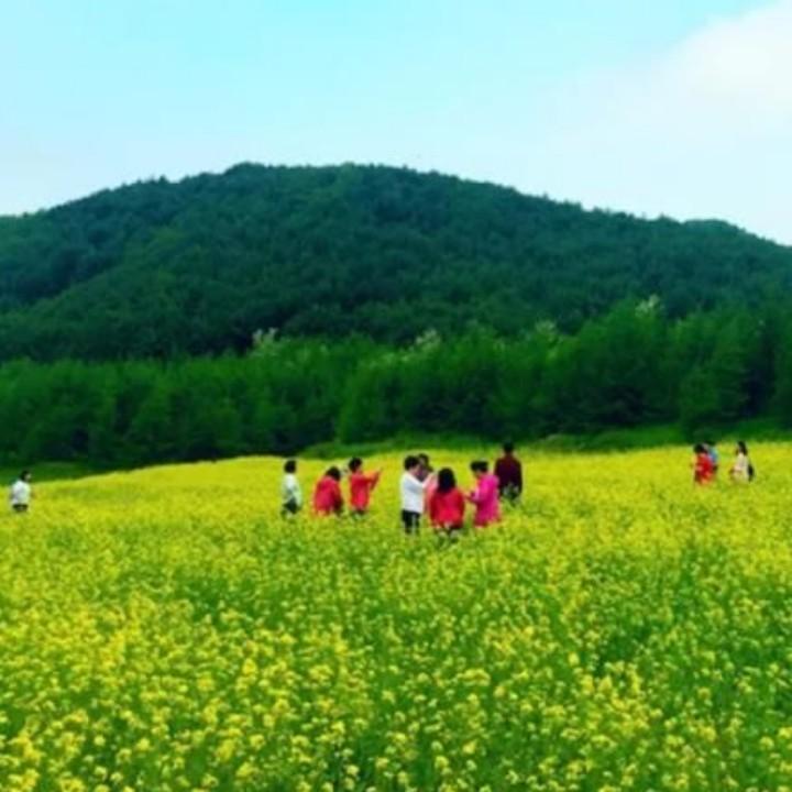 东汤海鲜大排档