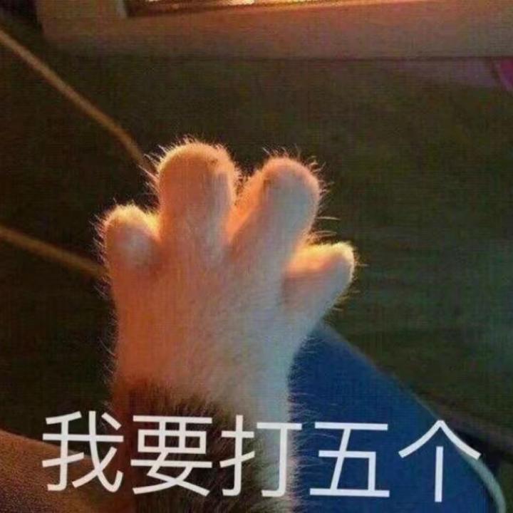 阿霓的阳光