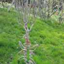 一把锤锤闯天下