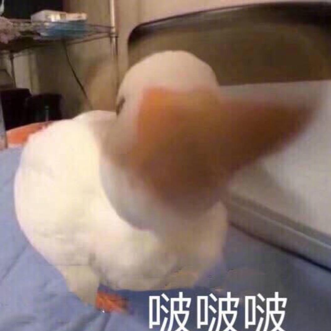 小饼干🍪