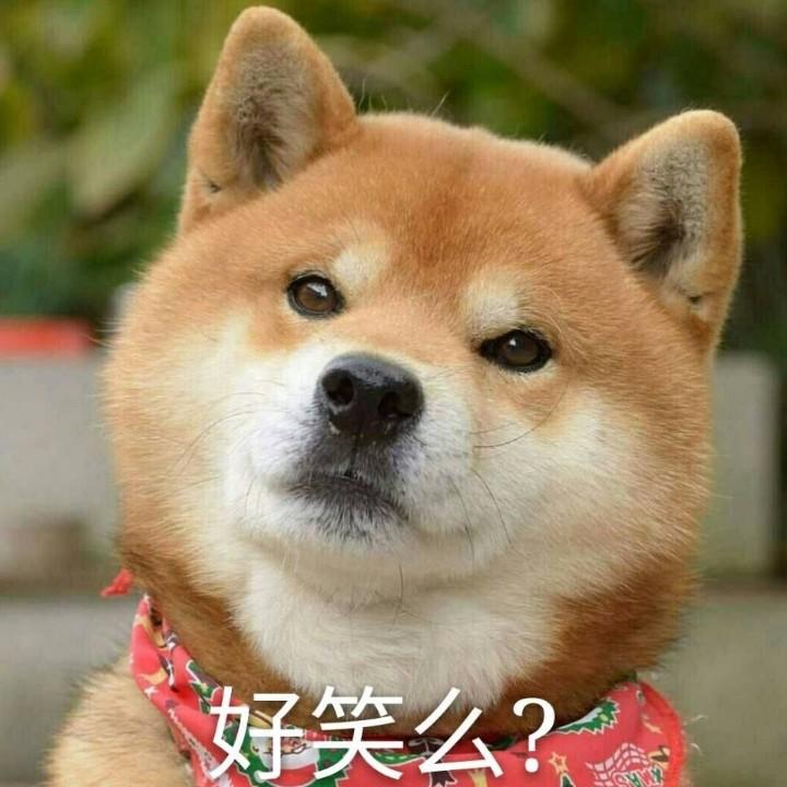 炎头队长大人