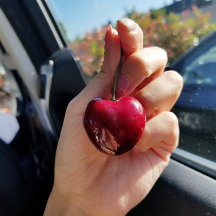 时不时飞回宇宙