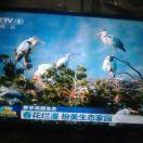 休闲娱乐