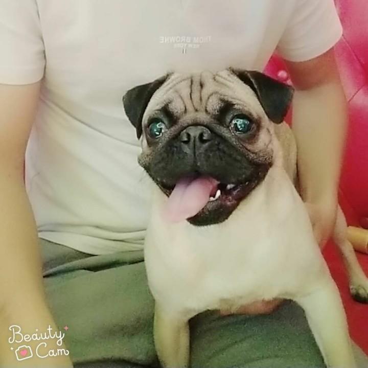 恶劣
