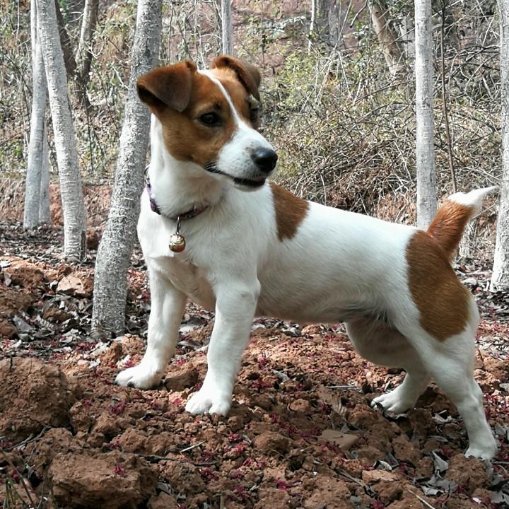 hm顺顺