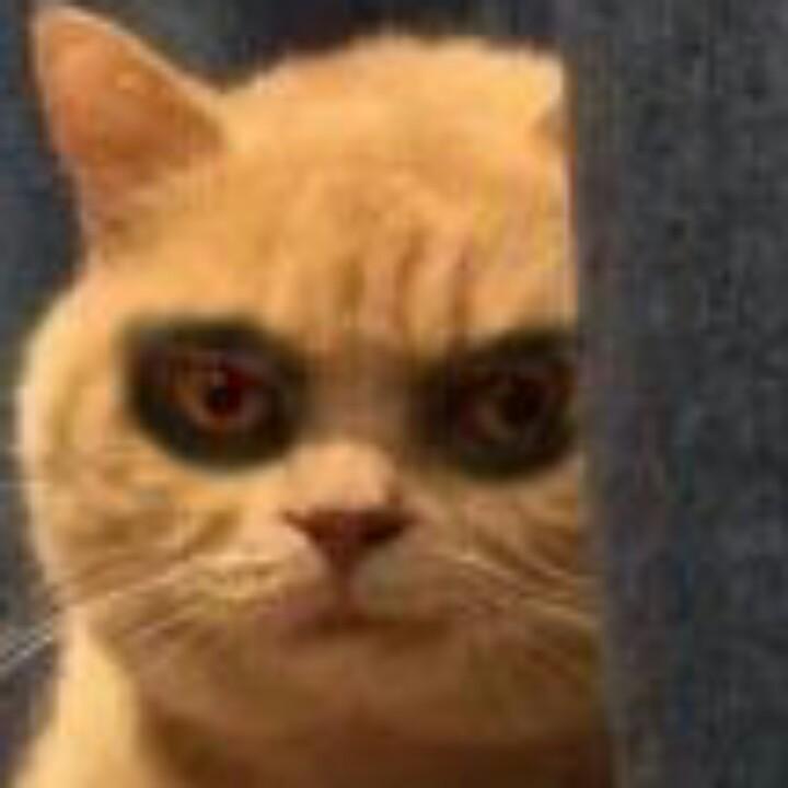 左明