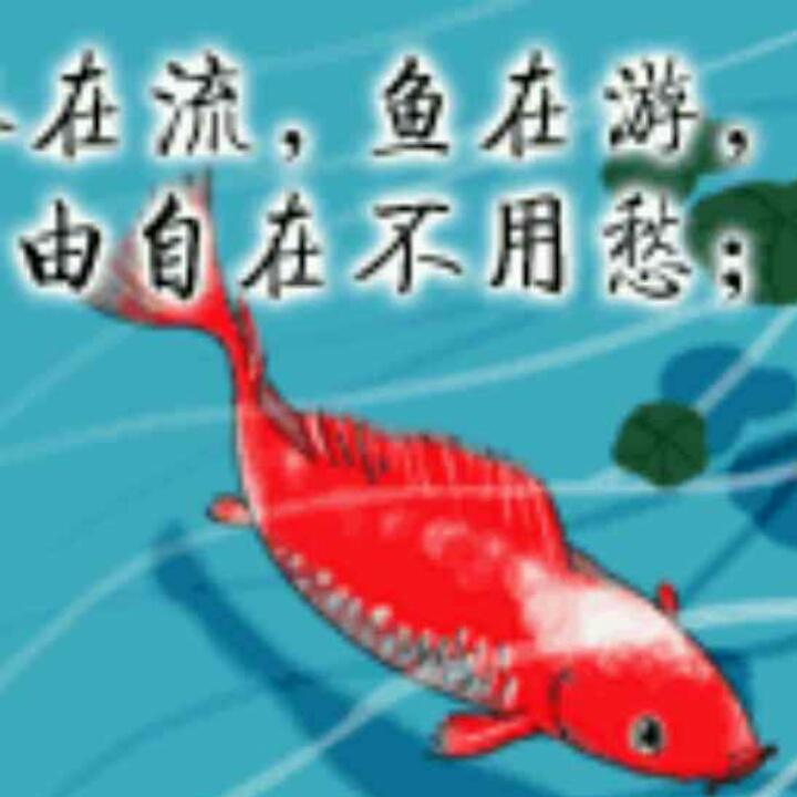 风