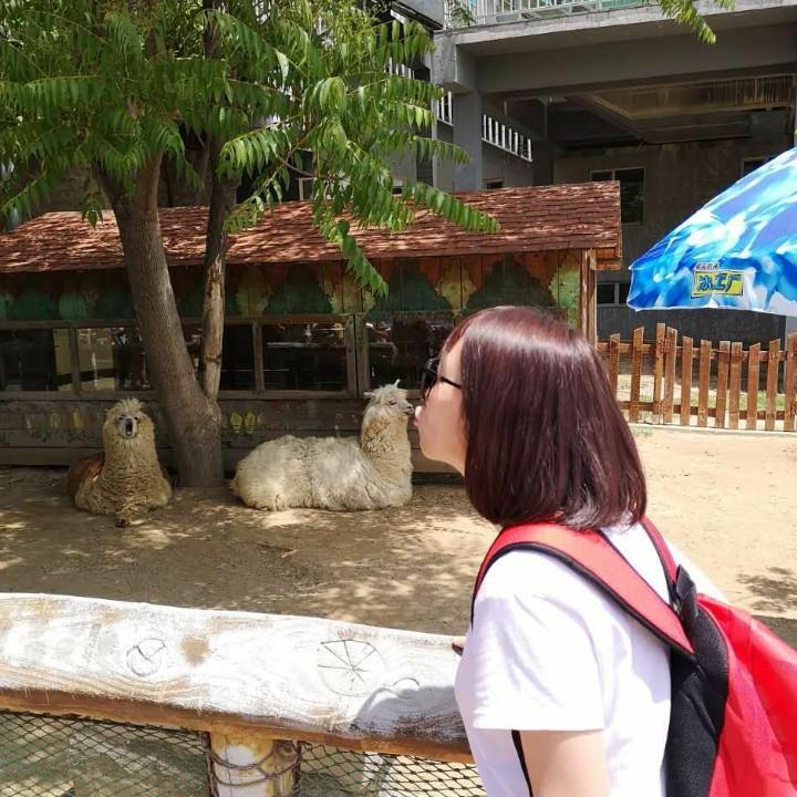 💋 馬小悅 🐾咩~咩~