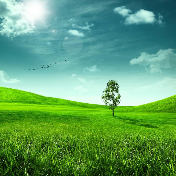 杨通 服装特种工艺