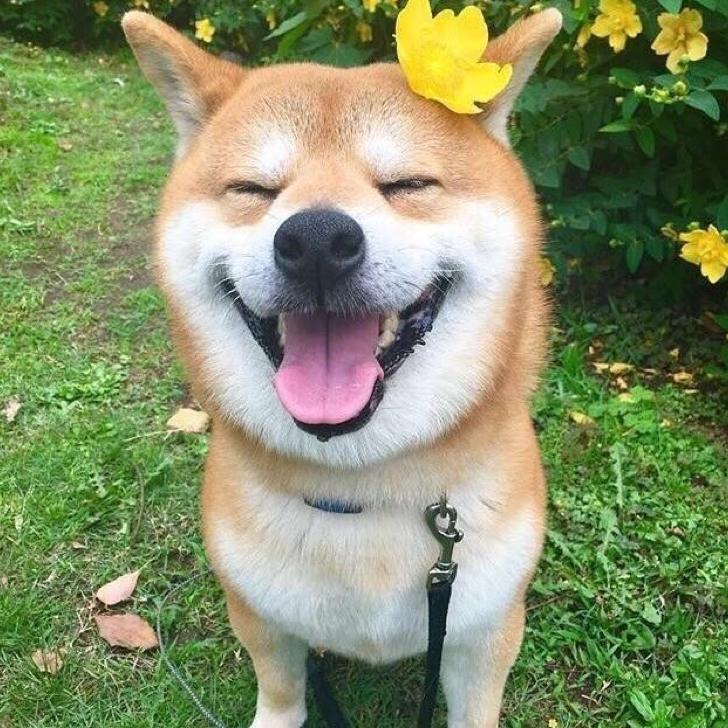 奥特曼打怪兽137