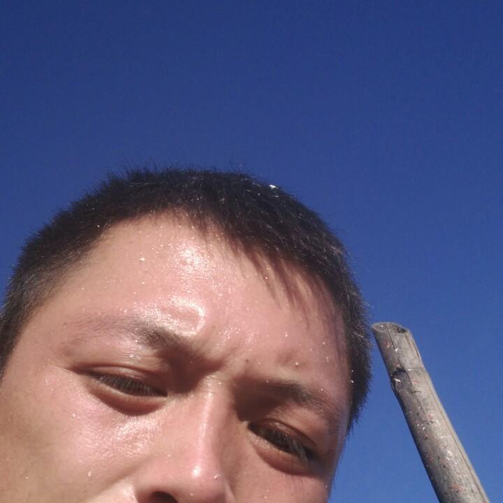 专业仿大理石漆