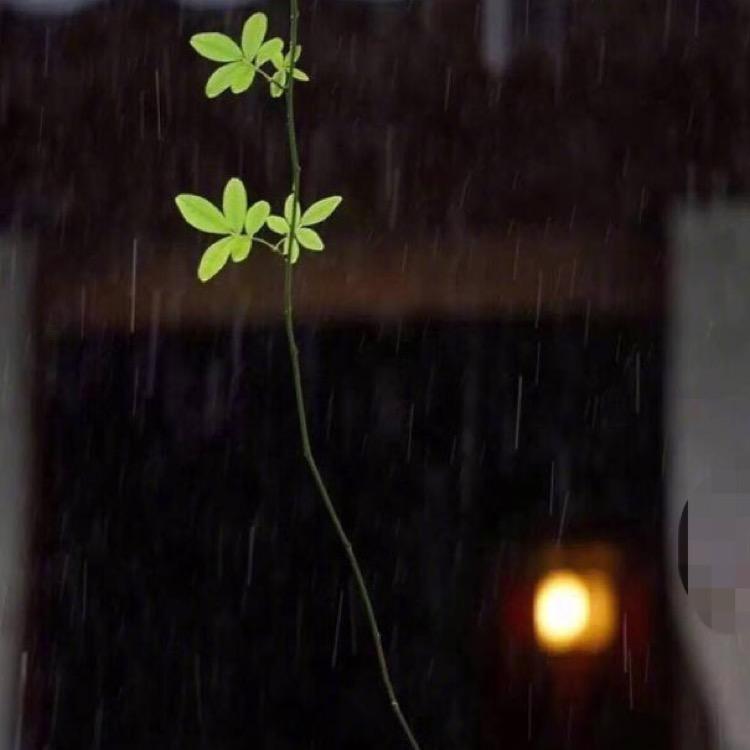 明天，你好