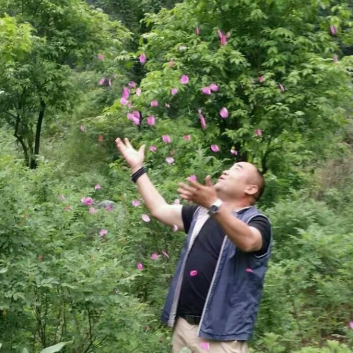 玫瑰共享庄园（许宏斌）