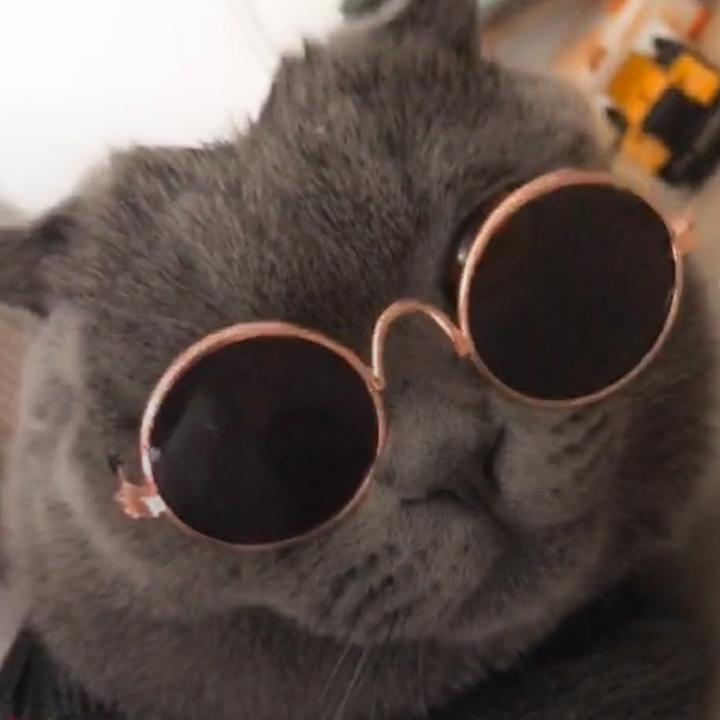 爱吃土豆的hao D