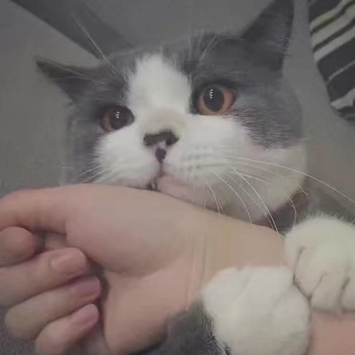 山袛之息