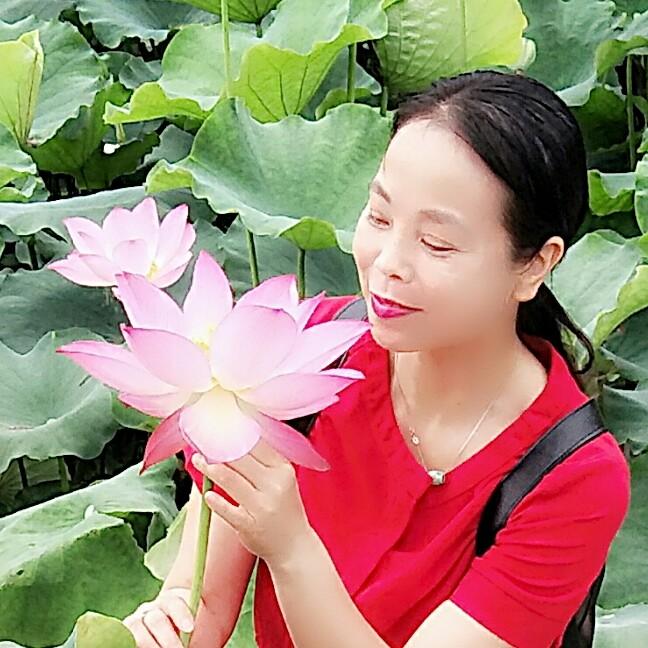 星缘（子龙星团）