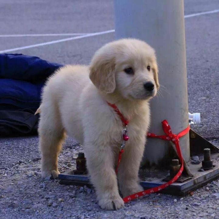 春不寒