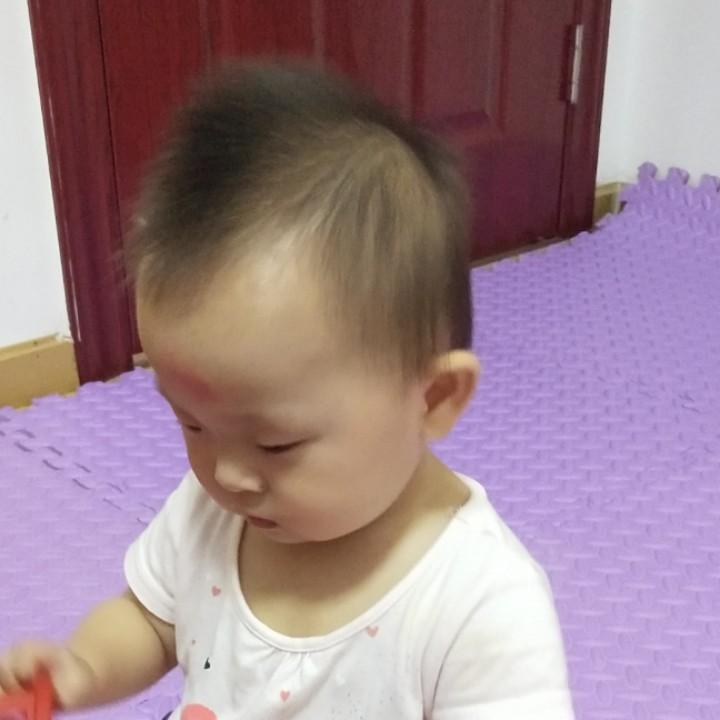 章郑