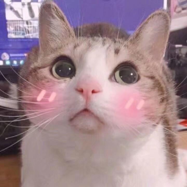 良夜
