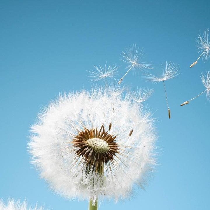 瘦瘦的