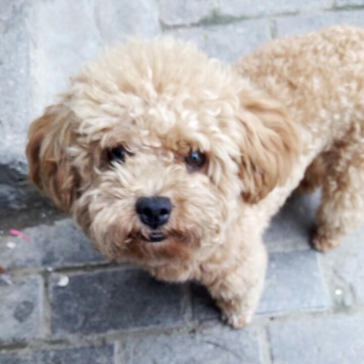 杨阳