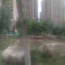 快乐人生_1862287