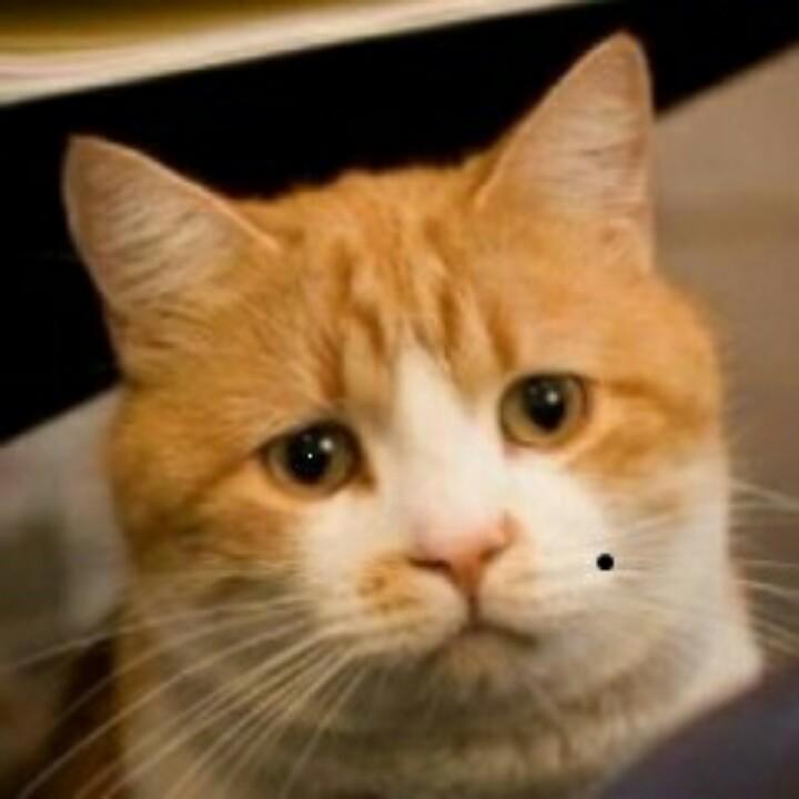 蓝发少女的妈妈银发queen