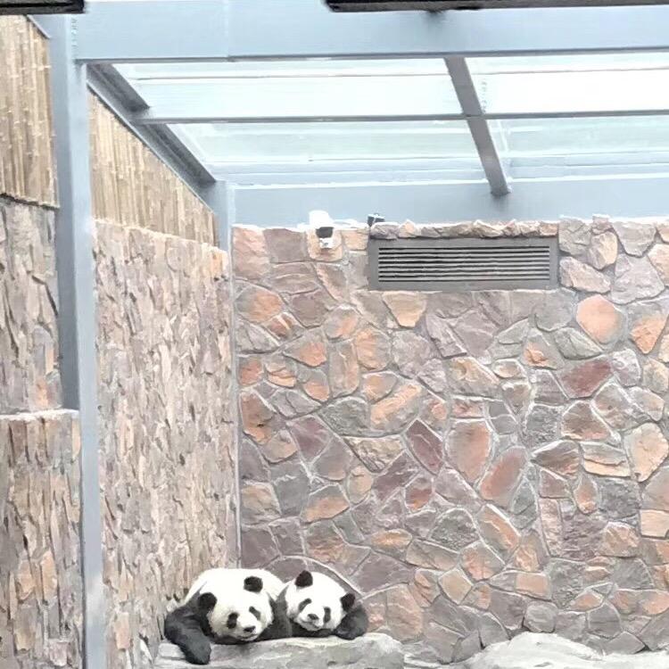 多彩的星星✨