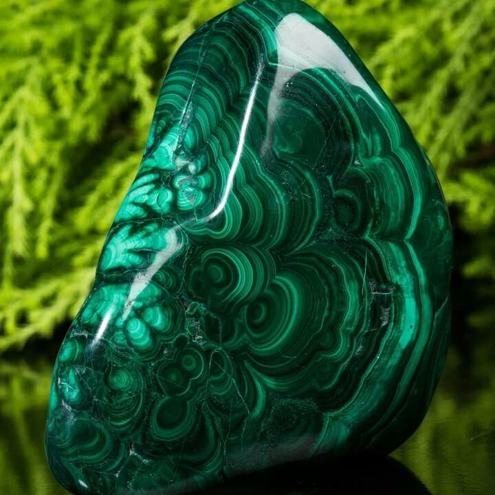 犯我中华虽远必诛中国人_