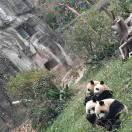 幸福一家