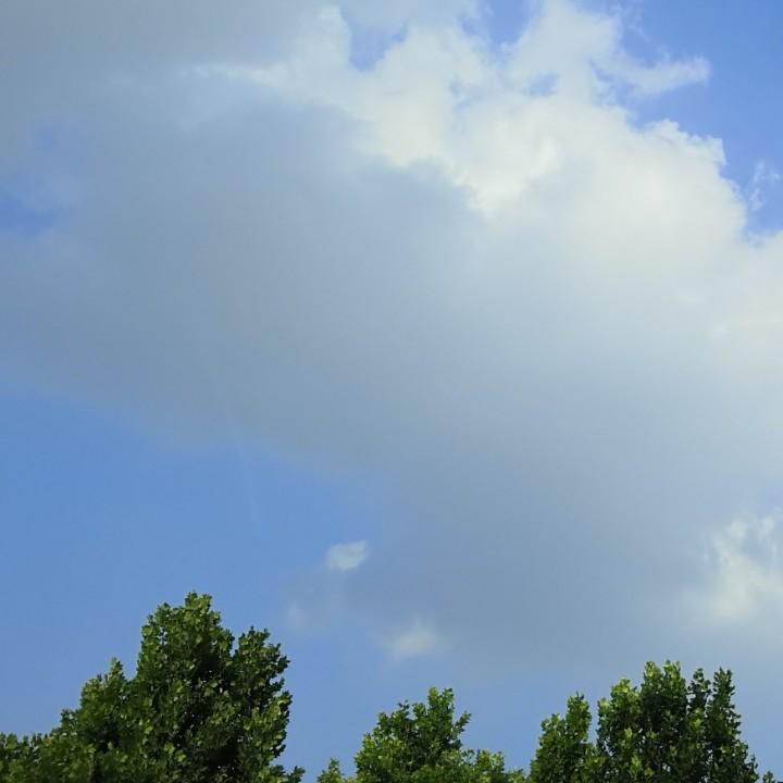 夏天夏天真是热