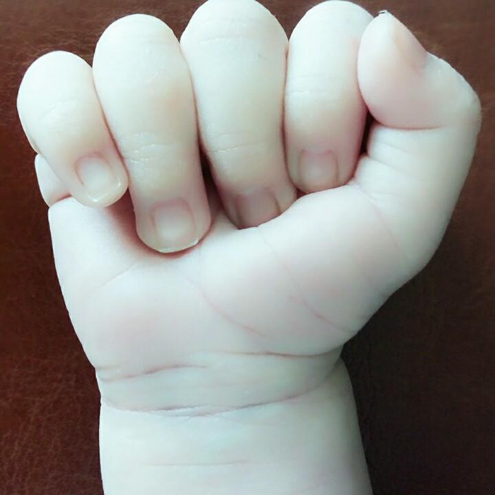 小燕