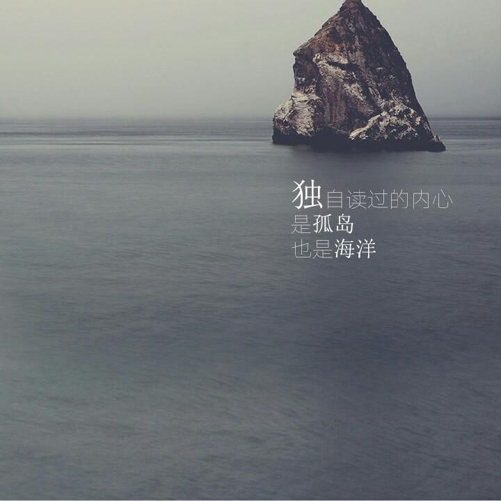 TY莫霓