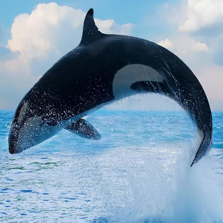 西安回收电动车