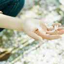 (｡･ω･｡)冬日暖阳