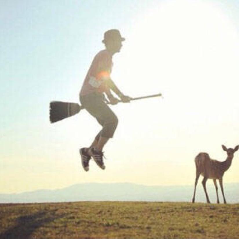 超级爱逗的鱼🐟