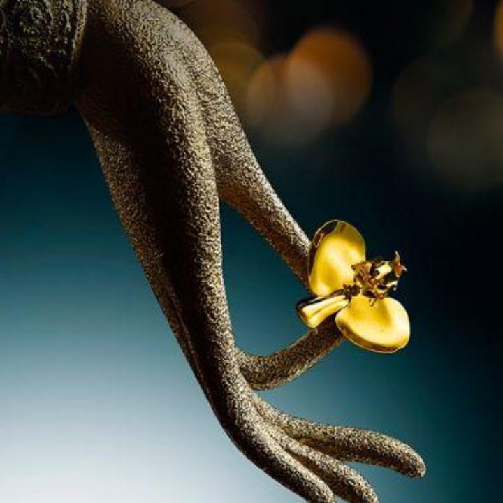 漫步云端