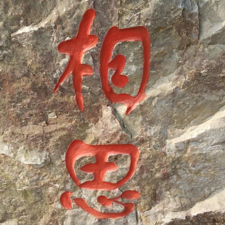 王阿哥