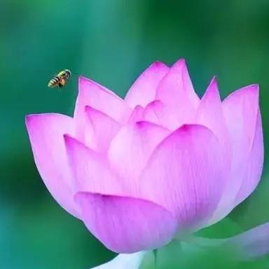 百忙中寻找乐趣🌹💐🌻