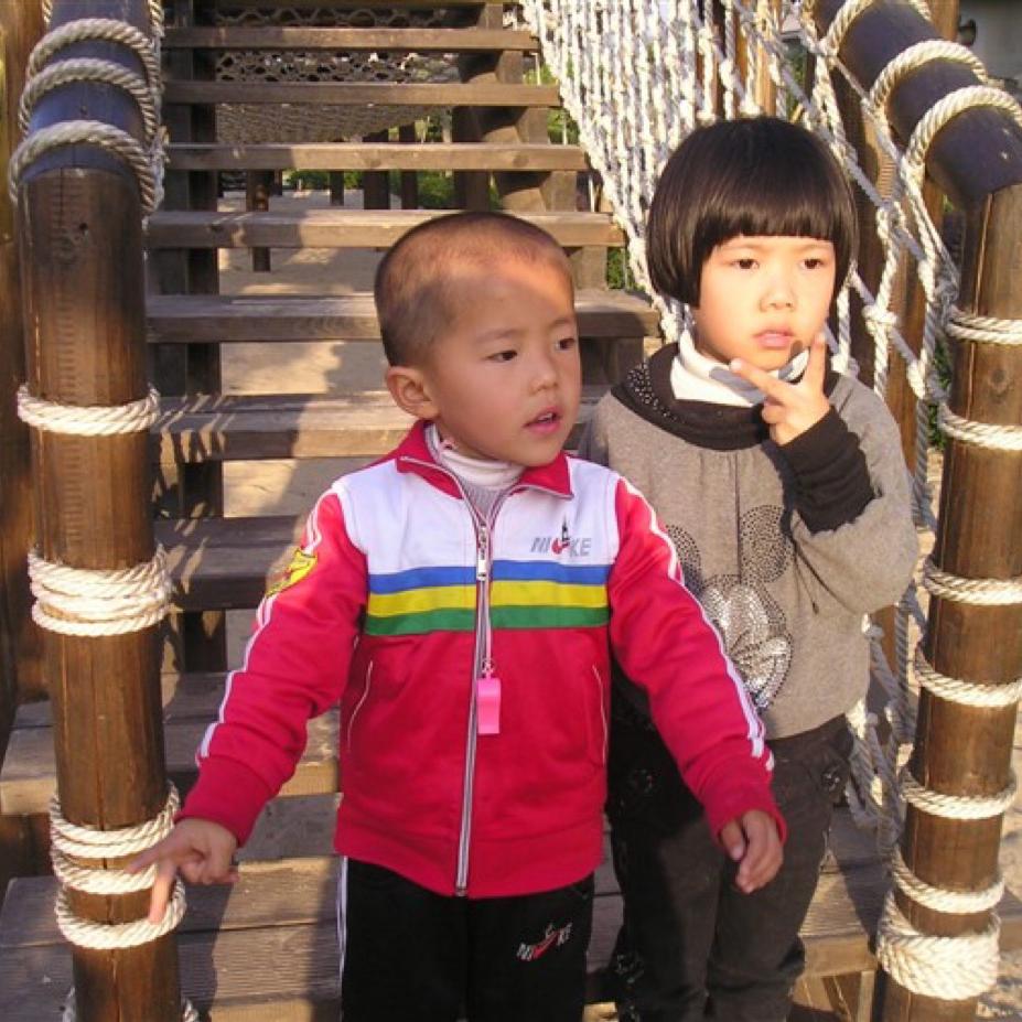 养蜂师傅