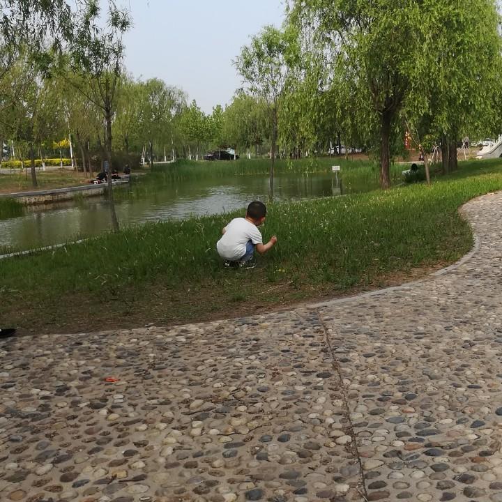 零落