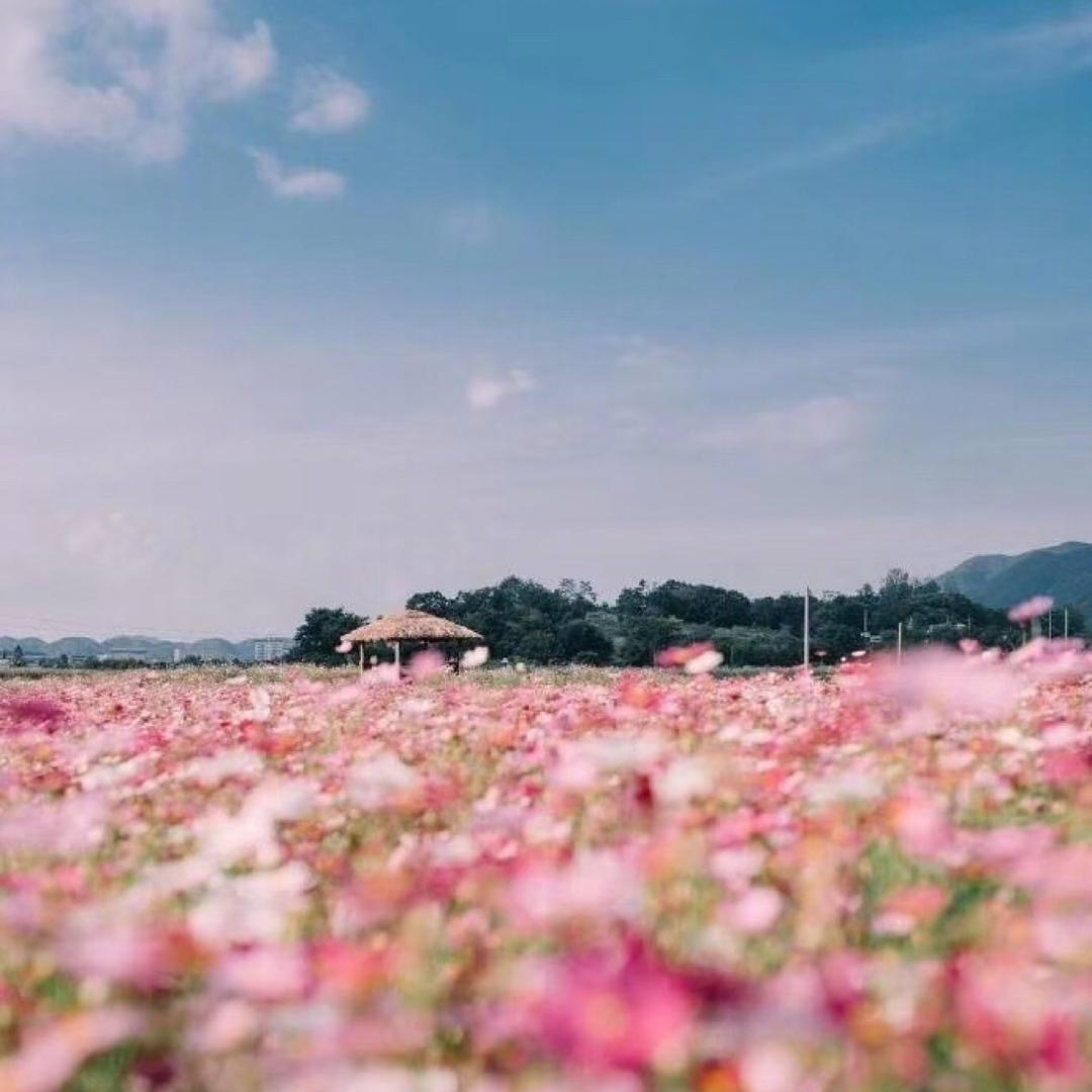 至暮而合