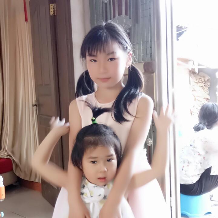 凤凤